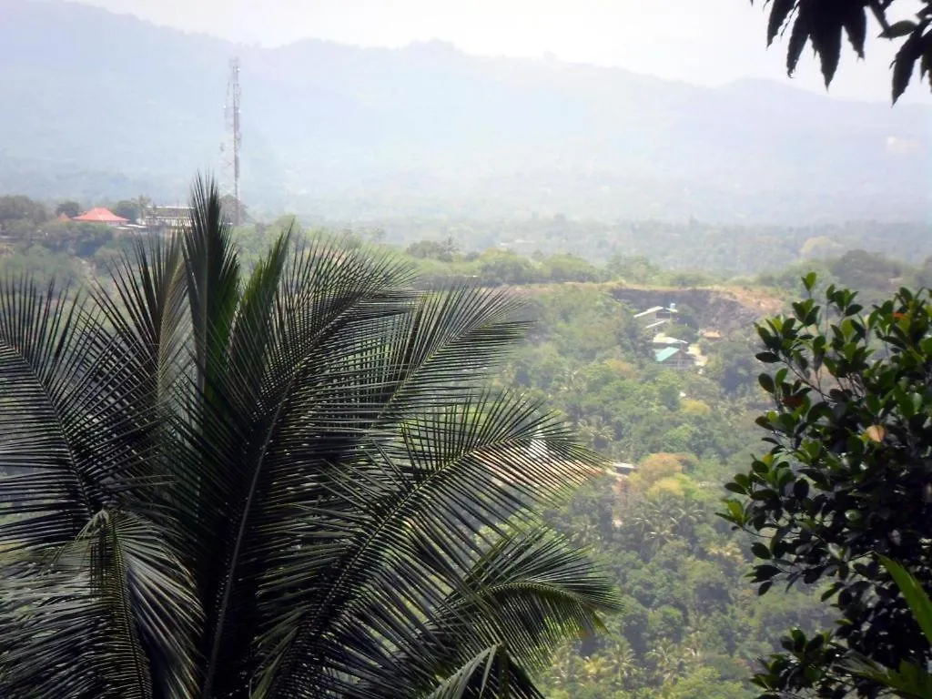 Mahaweli Regent Hotel Канди 3*,